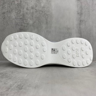 Dior b25