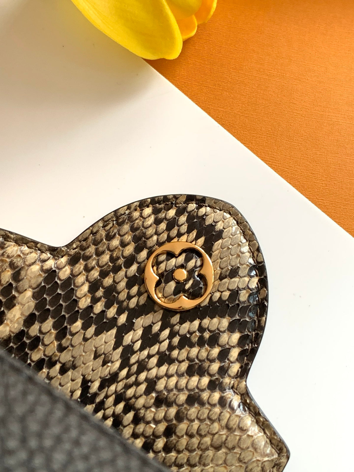 Sac Louis Vuitton Capucines