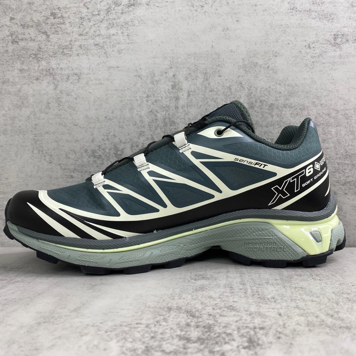 Salomon XT6