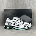 Salomon XT6
