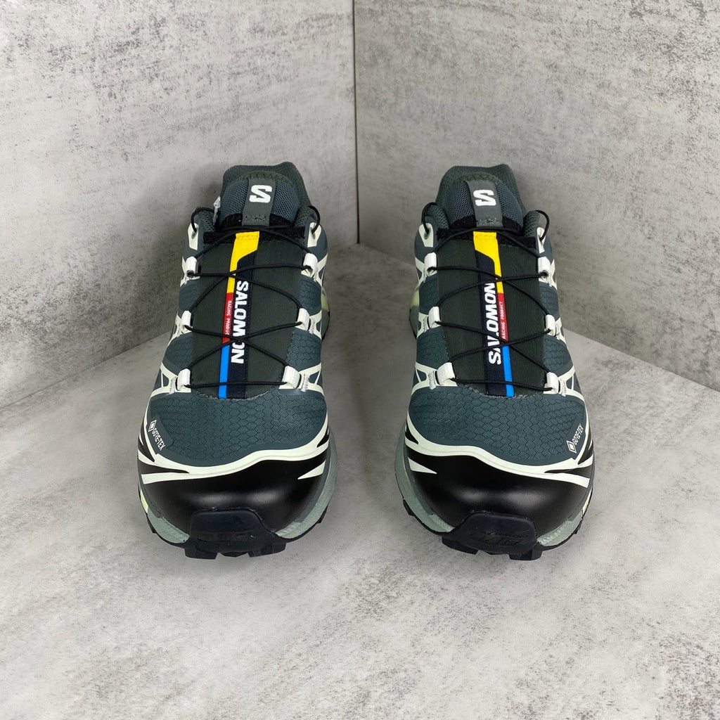Salomon XT6