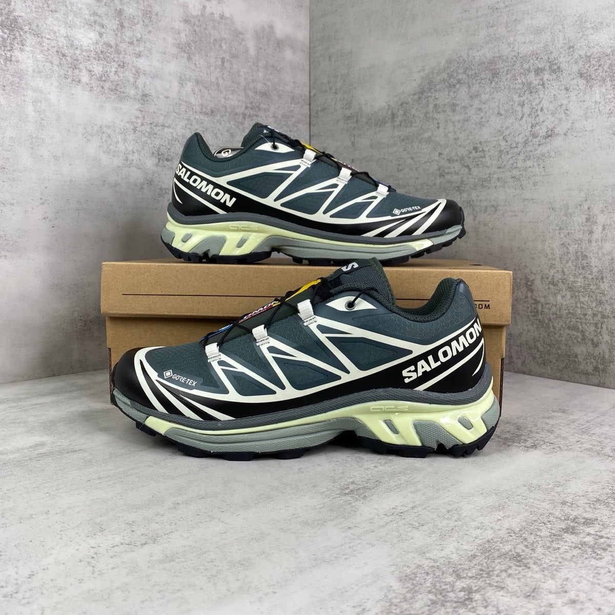 Salomon XT6