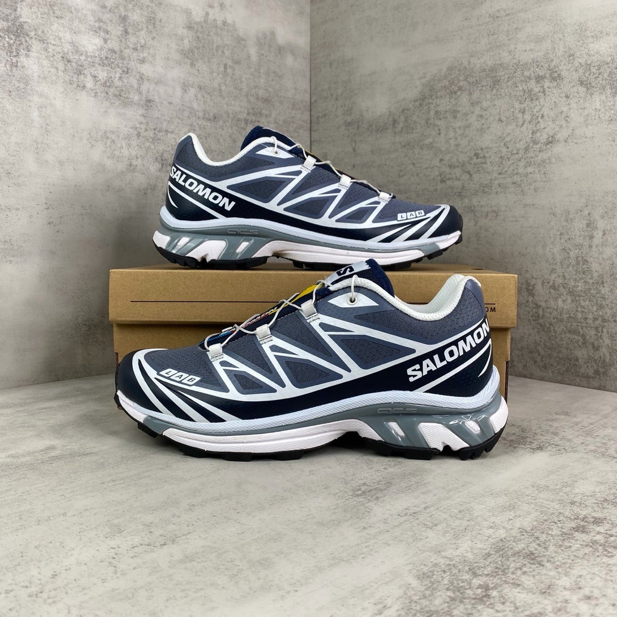 Salomon XT6