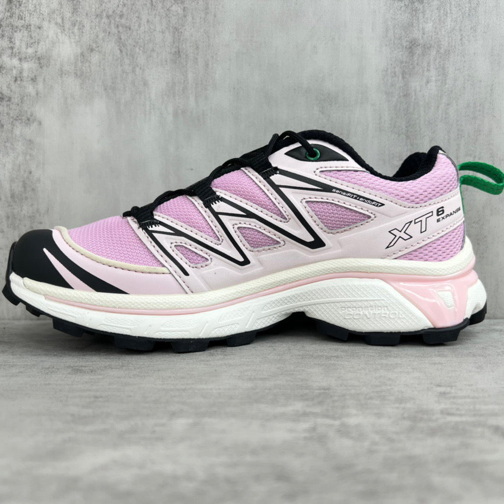 Salomon XT6