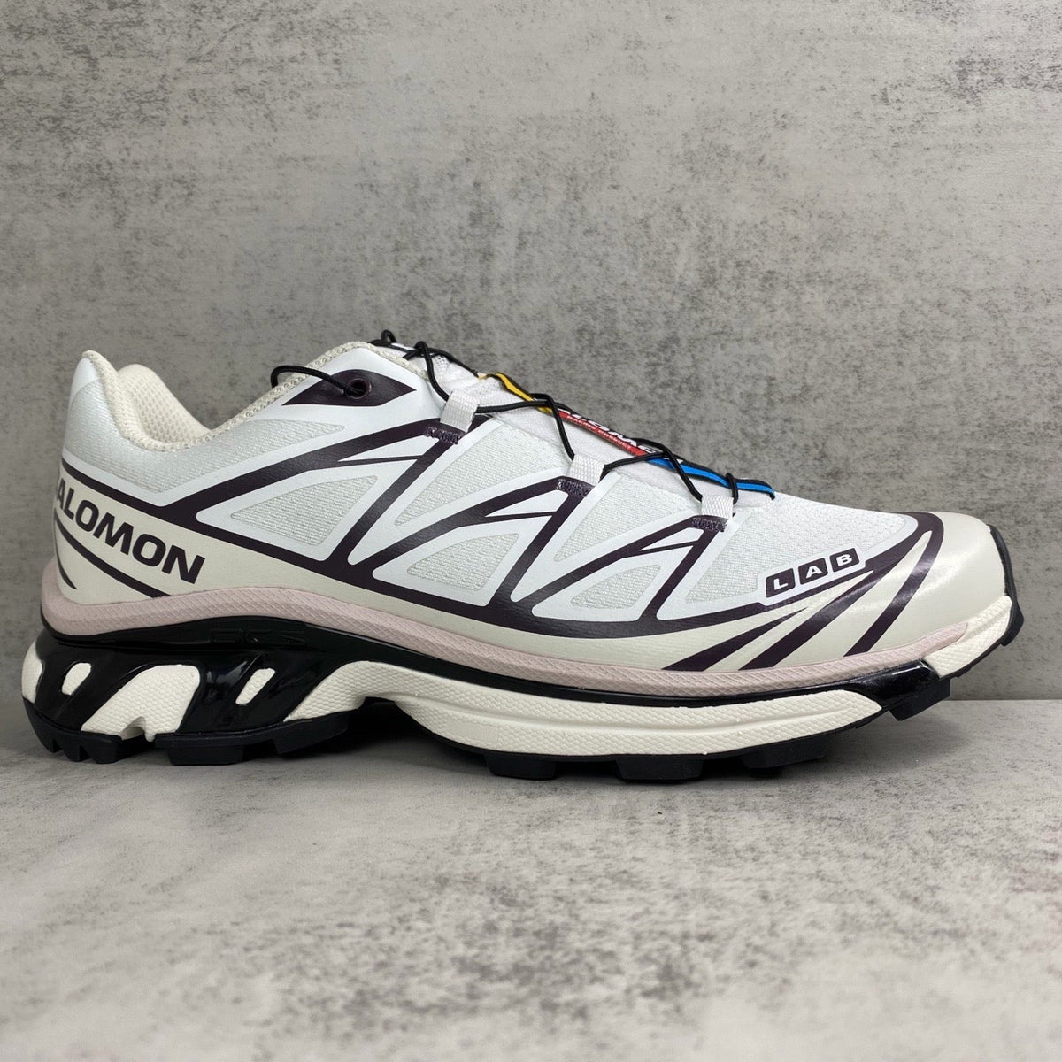 Salomon XT6