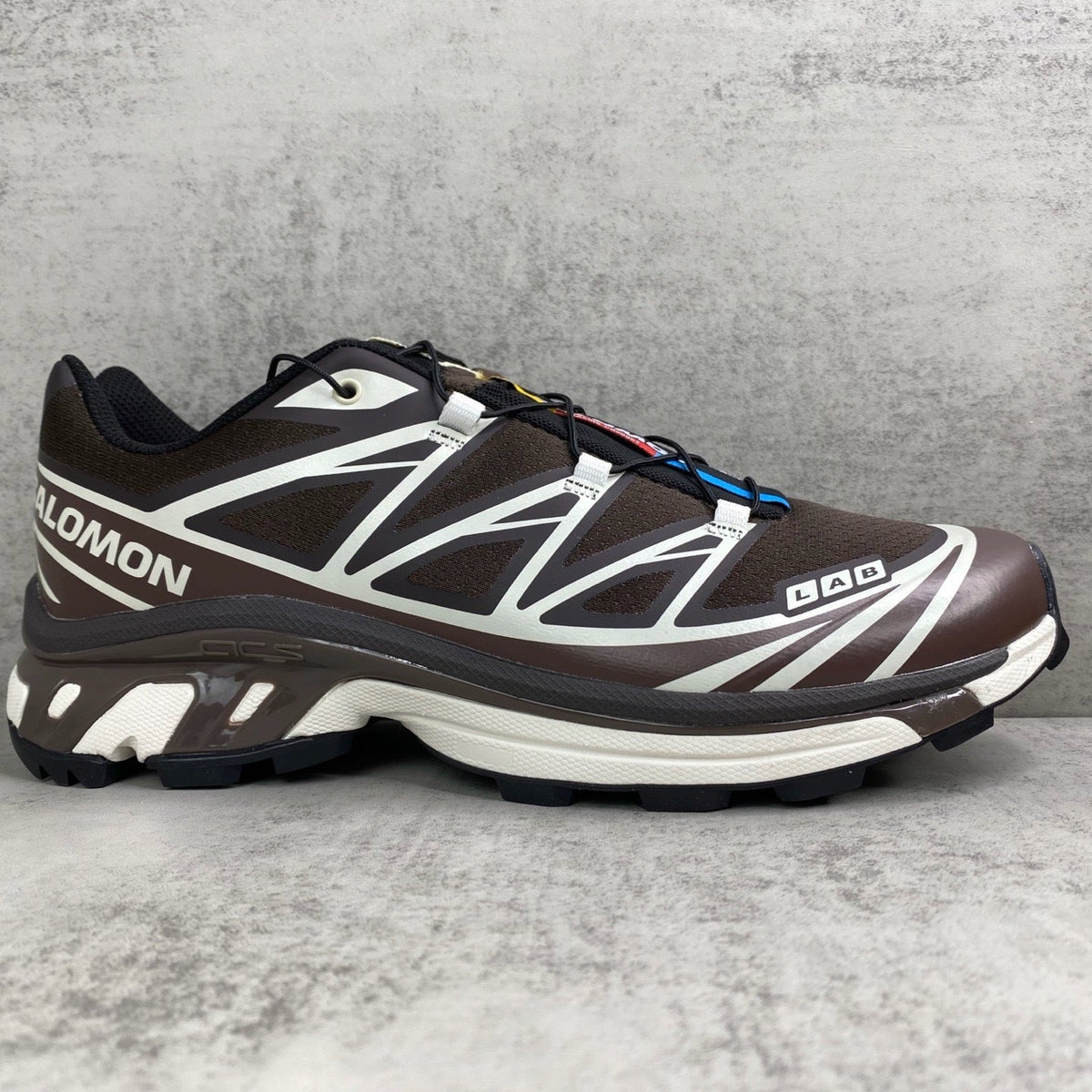 Salomon XT6
