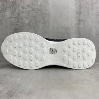 Dior b25