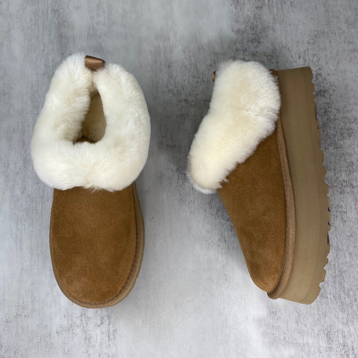 UGG Tazzelle