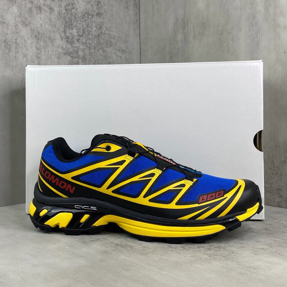 Salomon XT6