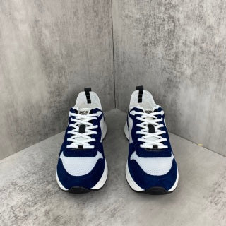 Dior b25