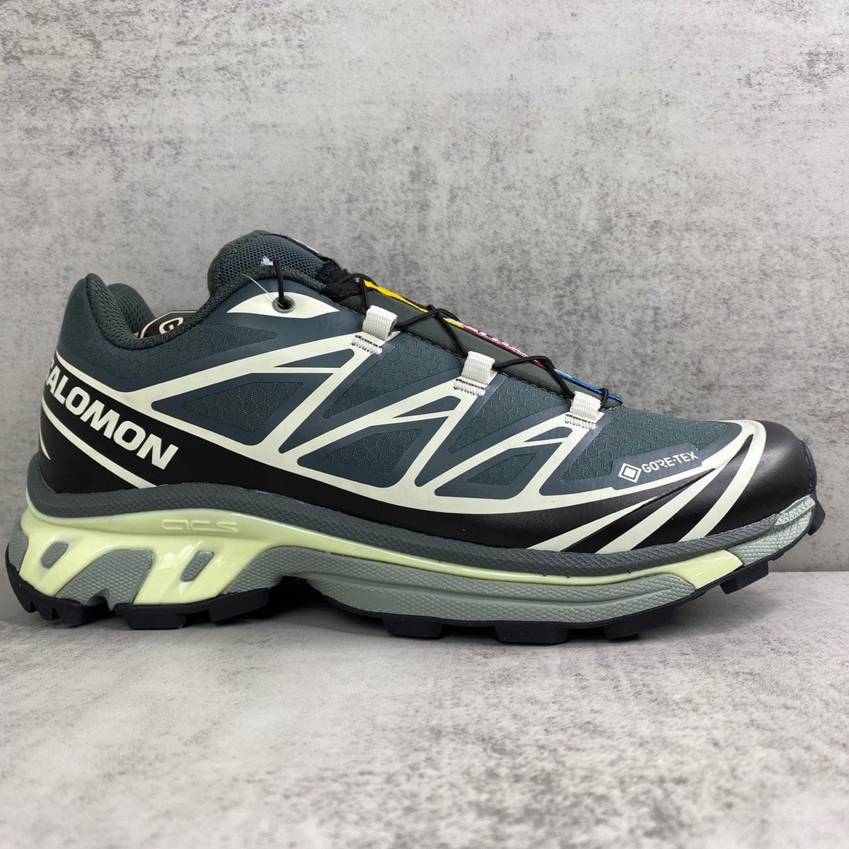 Salomon XT6