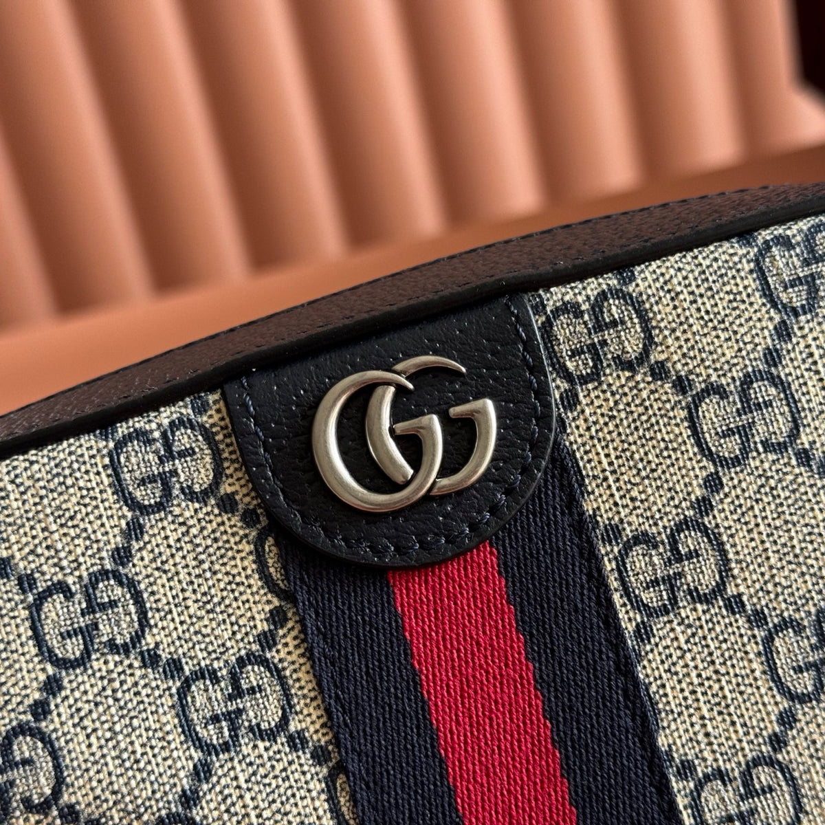 Sac Gucci Ophidia