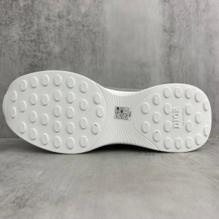 Dior b25