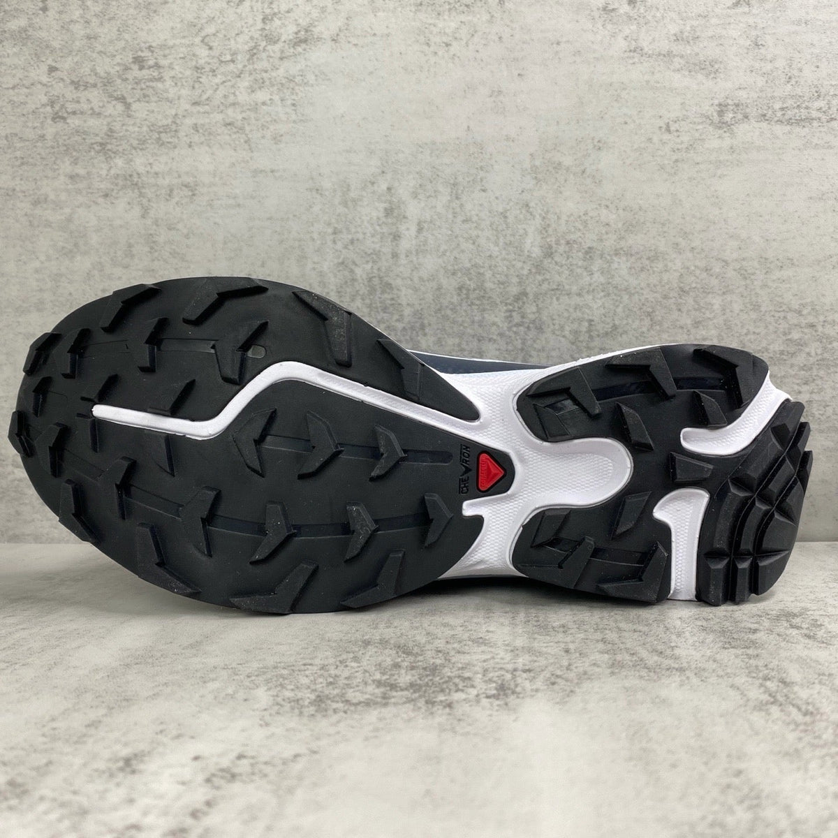 Salomon XT6