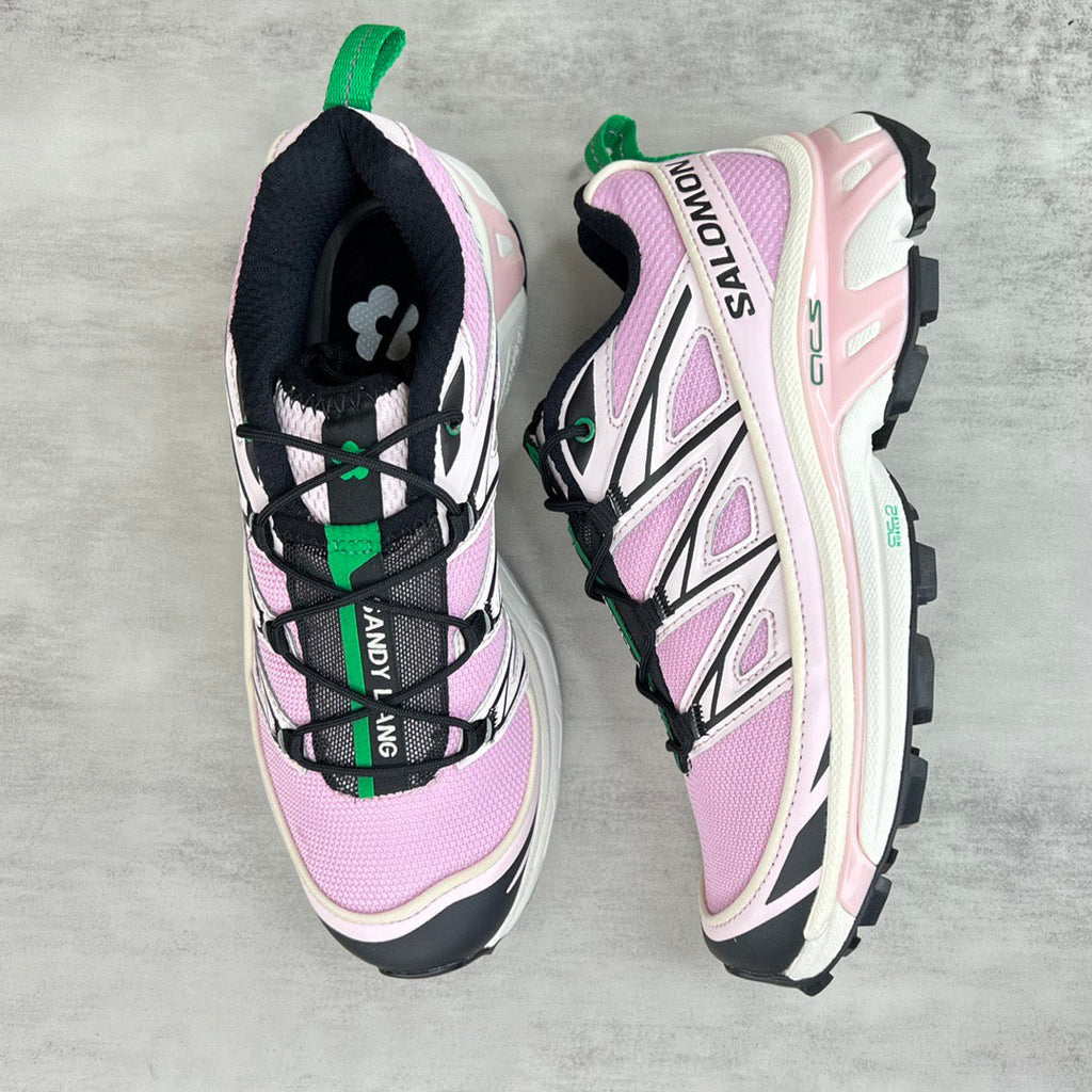 Salomon XT6