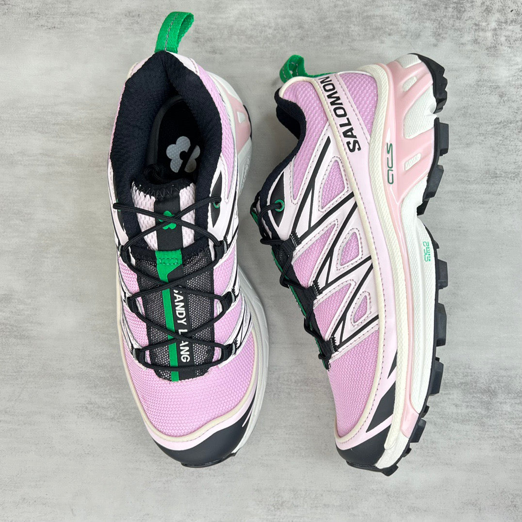 Salomon XT6