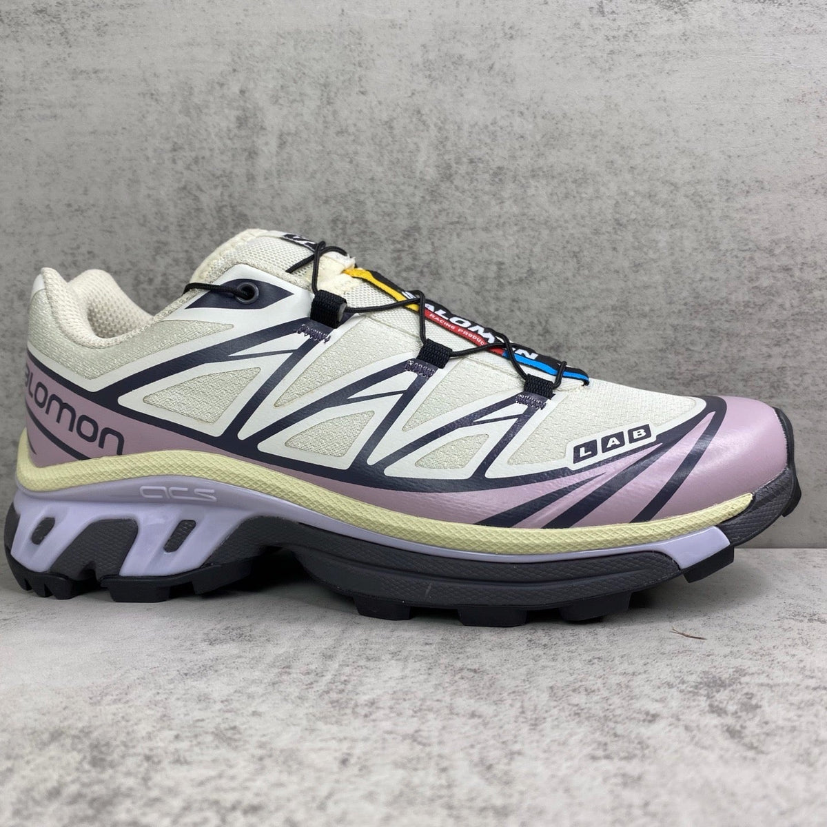Salomon XT6