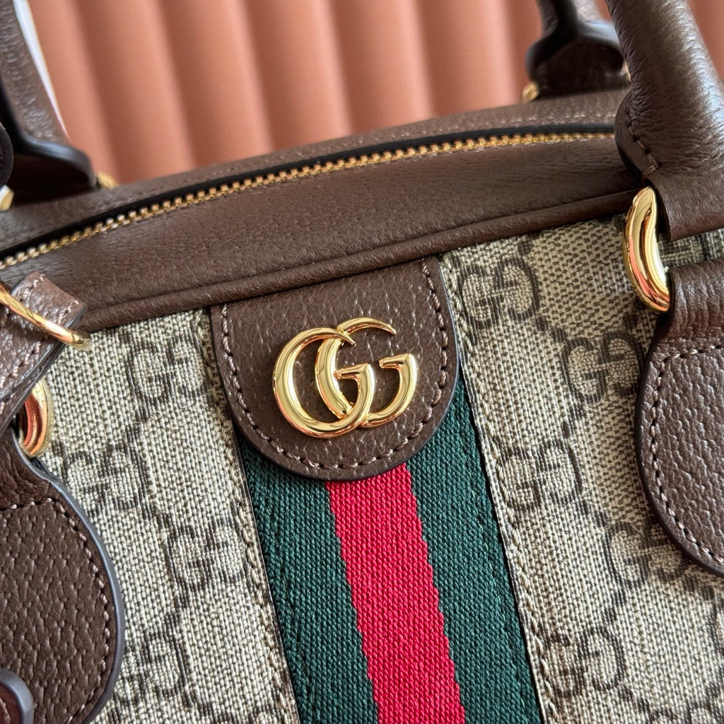 Sac Gucci Ophidia
