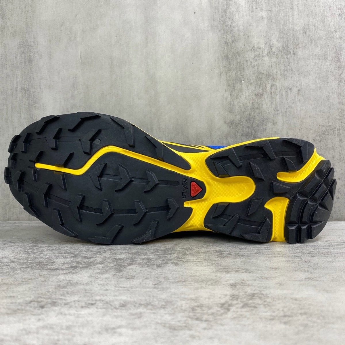 Salomon XT6