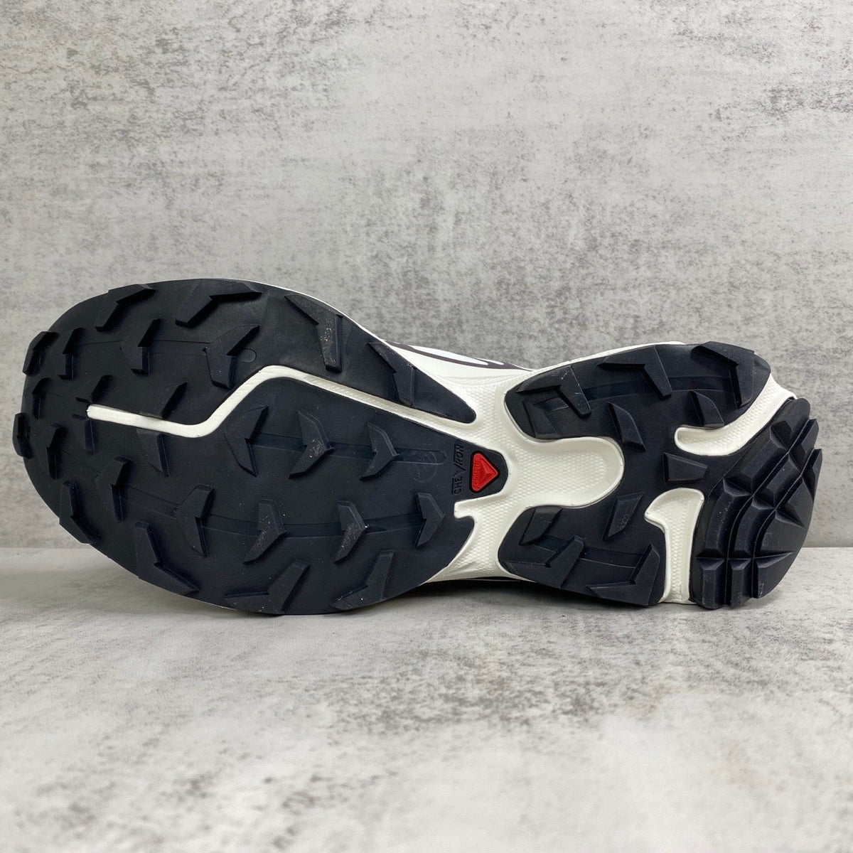 Salomon XT6