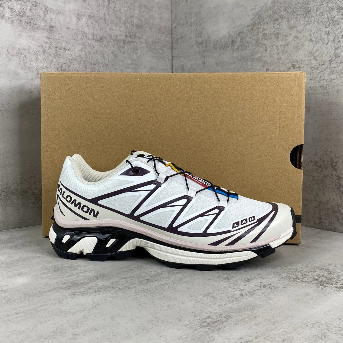 Salomon XT6