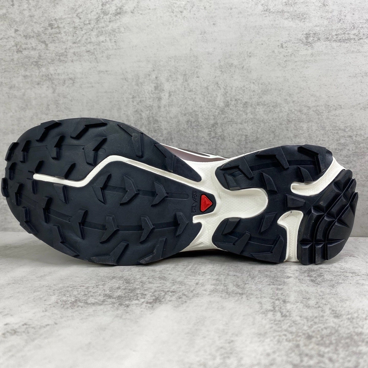 Salomon XT6